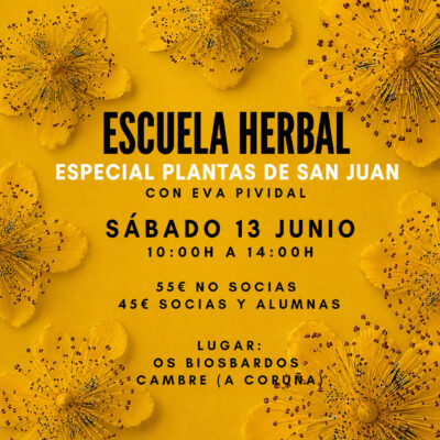 Escuela Herbal. Especial Plantas de San Juan. sábado 13 de junio, 2026 a las 10:00h. Imparte Eva Pividal.