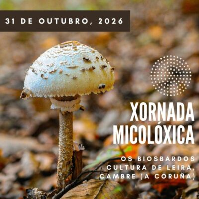 Xornada Micolóxica. Sábado 31 de outubro de 2026, ás 10:00h. Imparte Saúl de la Peña-Lastra.